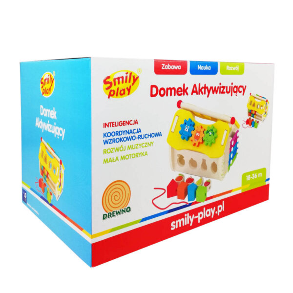DOMEK AKTYWIZUJĄCY